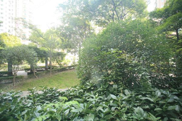 交易_华丽家族股票行情_华丽家族历史行情 - 久