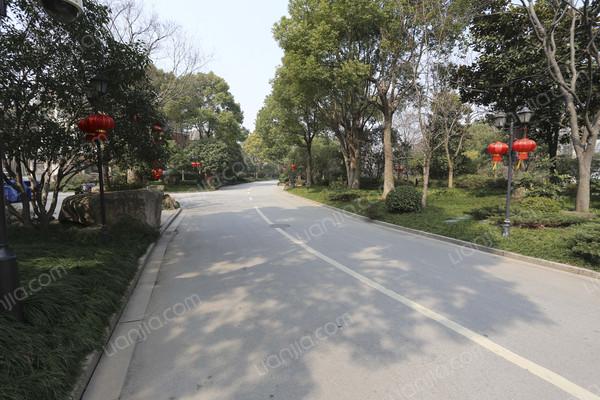 闵行,银都名墅 ,豪装, 5室2厅,285平