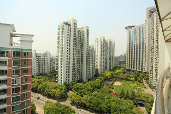 浦东,天安花园 ,豪装, 5室2厅,281平