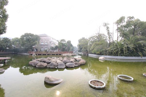 上海棕榈泉花园图片