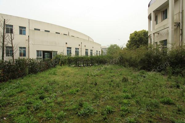 松江,阳光花园 ,毛坯, 3室2厅,226平