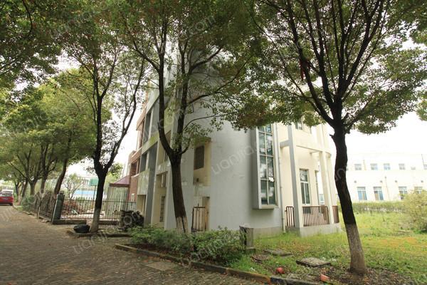 松江,阳光花园 ,毛坯, 3室2厅,226平