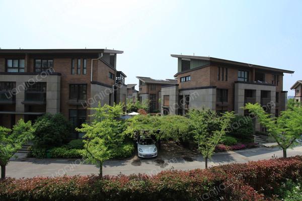 浦东,阳光花城(三期) ,毛坯, 6室6厅,304平