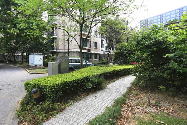 杨浦,兰馨雅苑 ,精装, 3室2厅,174平