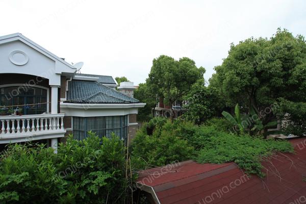 松江,浅水湾花园 ,精装, 6室3厅,355平