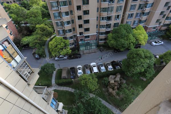 虹口,世博花园 ,精装, 1室2厅,87平