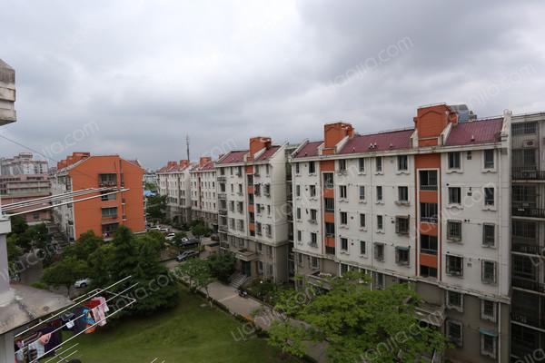 浦东,花木苑 ,精装, 3室1厅,76平