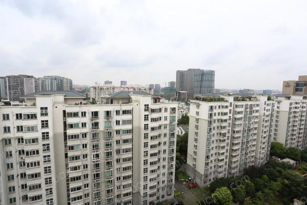 上海闵行 ,东碧林湾 ,精装, 4室2厅,199平二手房-德佑在线