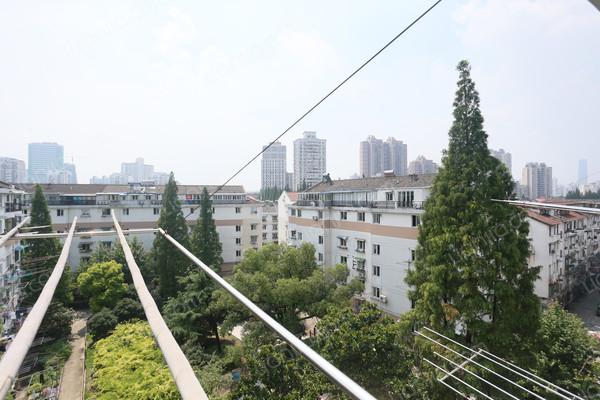 杨浦,鞍山四村 ,精装, 2室2厅,117平