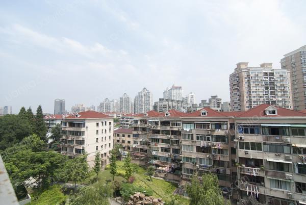 虹口,世博花园 ,毛坯, 4室2厅,303平