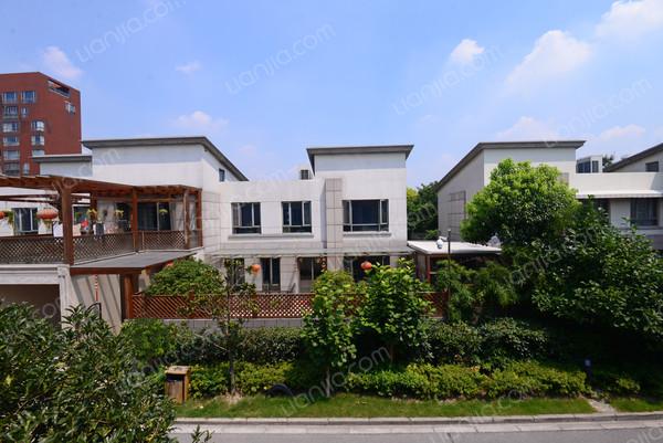 闵行,浦江颐城(别墅) ,豪装, 6室3厅,303平