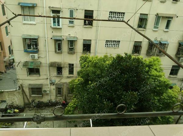 杨浦,友谊新村 ,中装, 2室0厅,51平